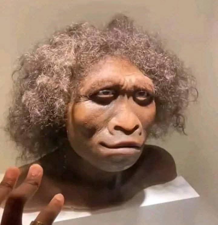 screenshot_tts's tweet image. É desse jeito que o teu esposo te vê quando estás grávida: