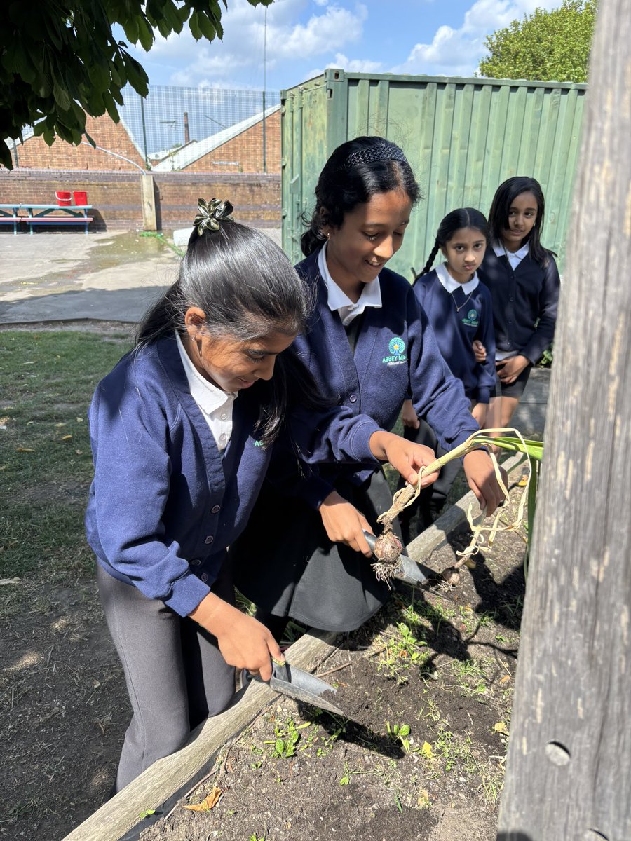 MrsIkram_AMPA's tweet photo. Our Eco helpers loved harvesting our school grown garlic this morning. We then gave it to our kitchen staff who will use it to prepare us scrumptious meals!
🧄 https://t.co/xVZooVjcO5