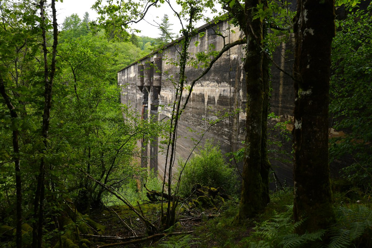 El Ayuntamiento de San Sebastián derribará parcialmente la presa de Artikutza, una infraestructura construida a mediados del siglo XX que nunca llegó a estar en pleno funcionamiento por problemas estructurales . #LifeKantauribai
efeverde.com/luz-verde-al-d…