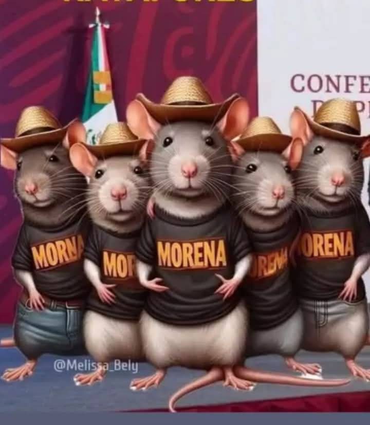 LilyNegretevil1's tweet photo. @renezam91540866 🧐LITERAL... https://t.co/XDh6GcTtfo