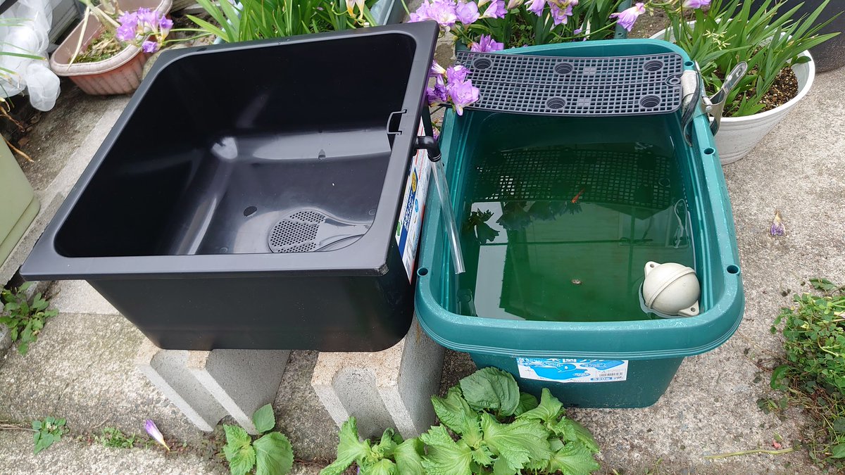 どうしてくれようΨ(￣∇￣)Ψ