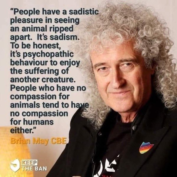 PROTECT ALL WILDLIFE (@protect_wldlife) on Twitter photo Thank you for speaking the truth <a href="/DrBrianMay/">Dr. Brian May</a> 👏
There is NO excuse for #AnimalAbuse EVER!! 🚫 Thank you for speaking the truth <a href="/DrBrianMay/">Dr. Brian May</a> 👏
There is NO excuse for #AnimalAbuse EVER!! 🚫
