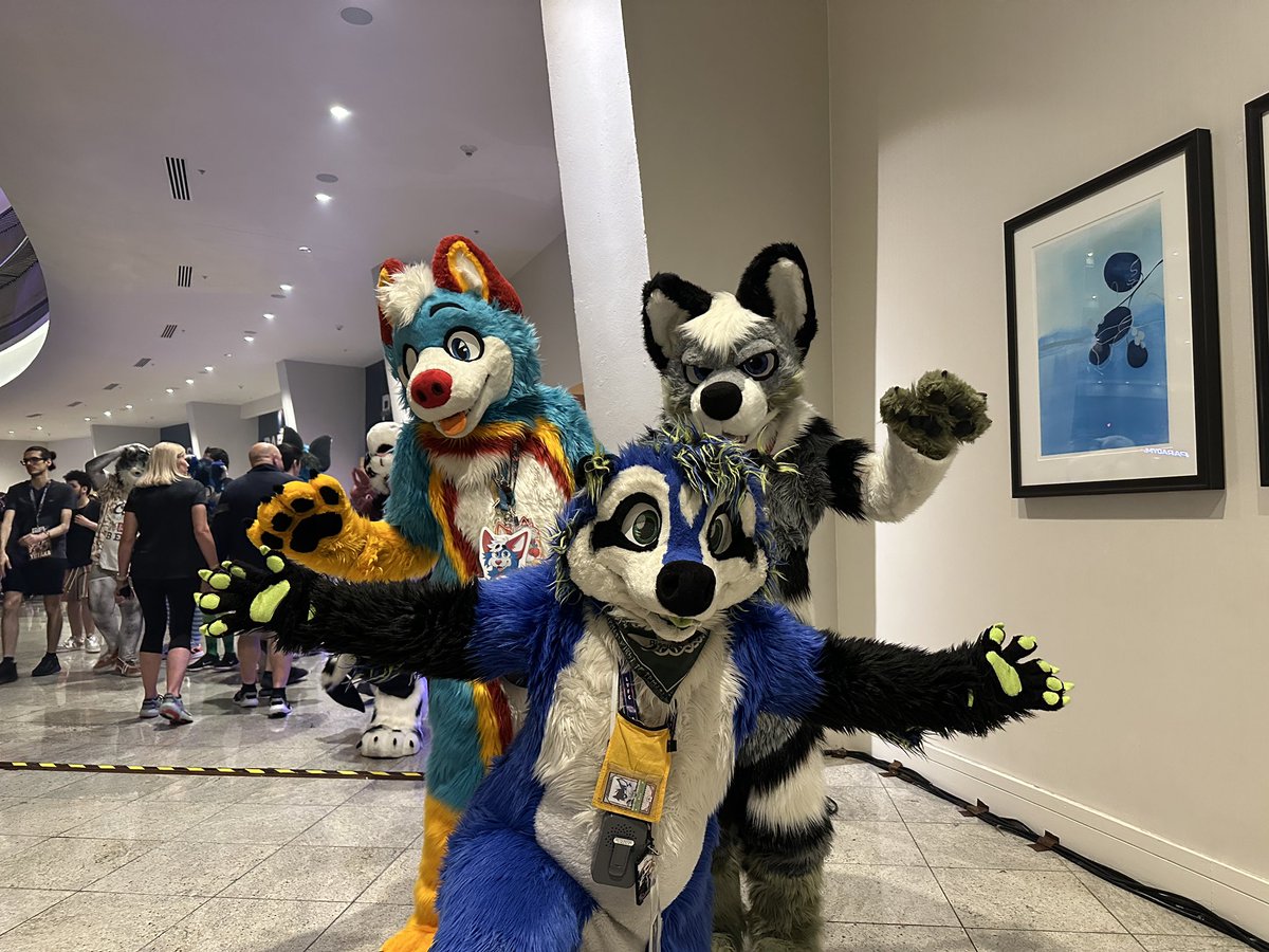 The Bisser 🔜 FWA, AC, MP tweet media