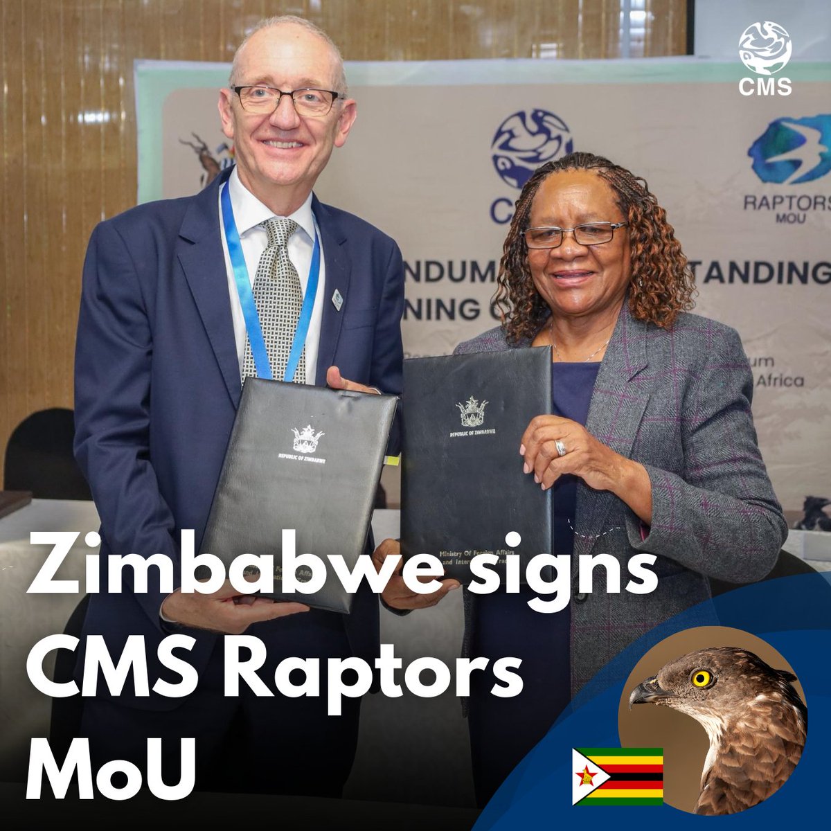 Big news from Harare!  Zimbabwe is now the 66th signatory to the #RaptorsMoU, joining international efforts to protect eagles, vultures, falcons and more across Africa–Eurasia. 🦅

With 37 MoU species calling Zimbabwe home during their migratory journeys, including the iconic