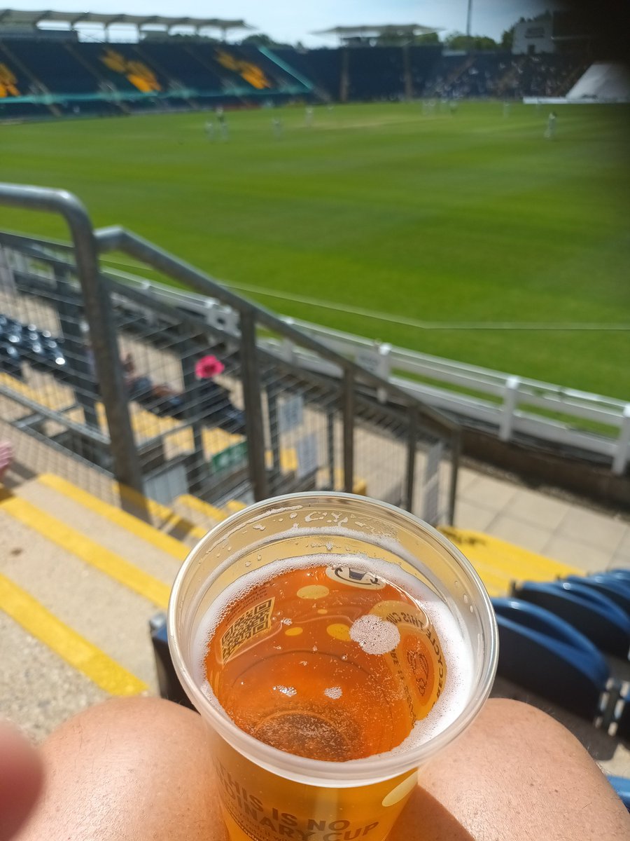 Steve Kings tweet media