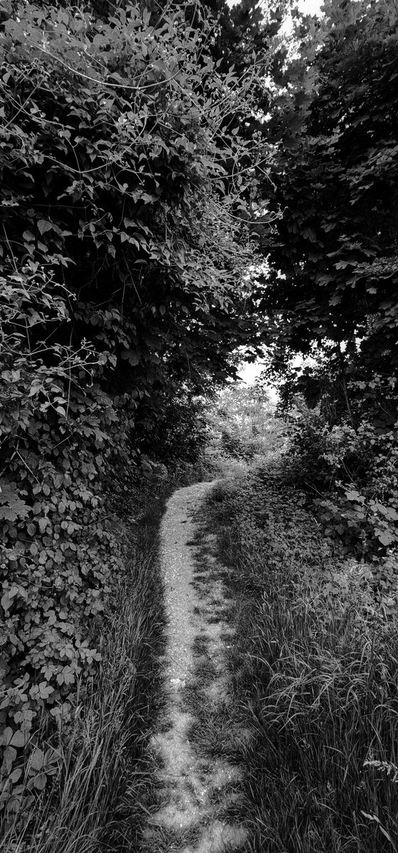 Drabbles153's tweet photo. #NFTkaltenstein #photography #path #nature #fullformat
#blackandwhite #monochrome #Feldkirch #Vorarlberg #Austria #Documentary
#モノクロ #写真 #白黒 https://t.co/n2PjiDuZcM