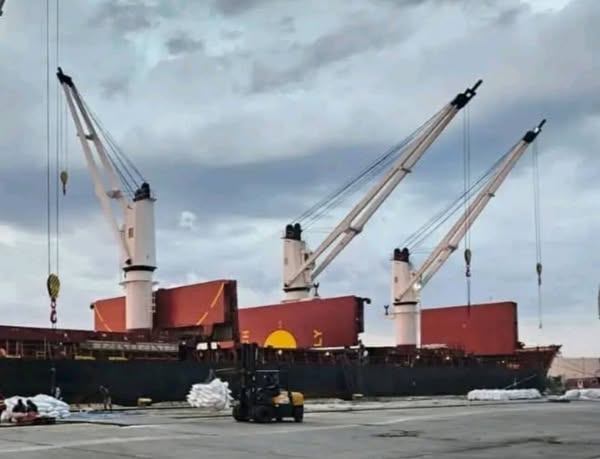 Visitó Yudi Mercedes nuestro Grupo empresarial, en la reunión se encontró con nuestro DG y el adjunto de GEA. Esta oportunidad le permitió evaluar el estado actual de la transportación marítima hacia y desde la Isla, así como la calidad de los servicios que recibe la población.