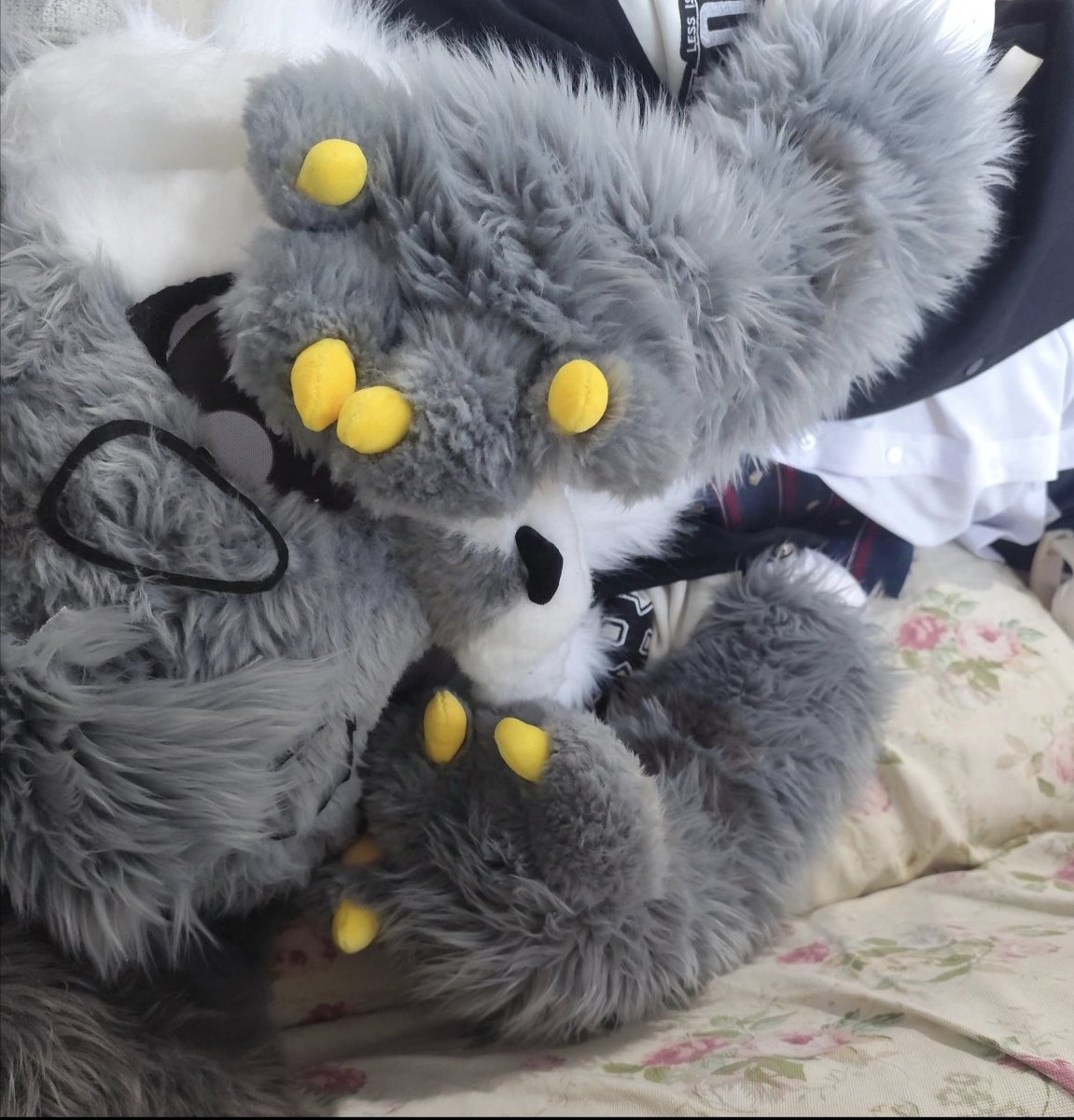 世界上最苦恼的事，
就是尝试入睡却不到要领
——菲兹杰拉德
#FursuitFriday