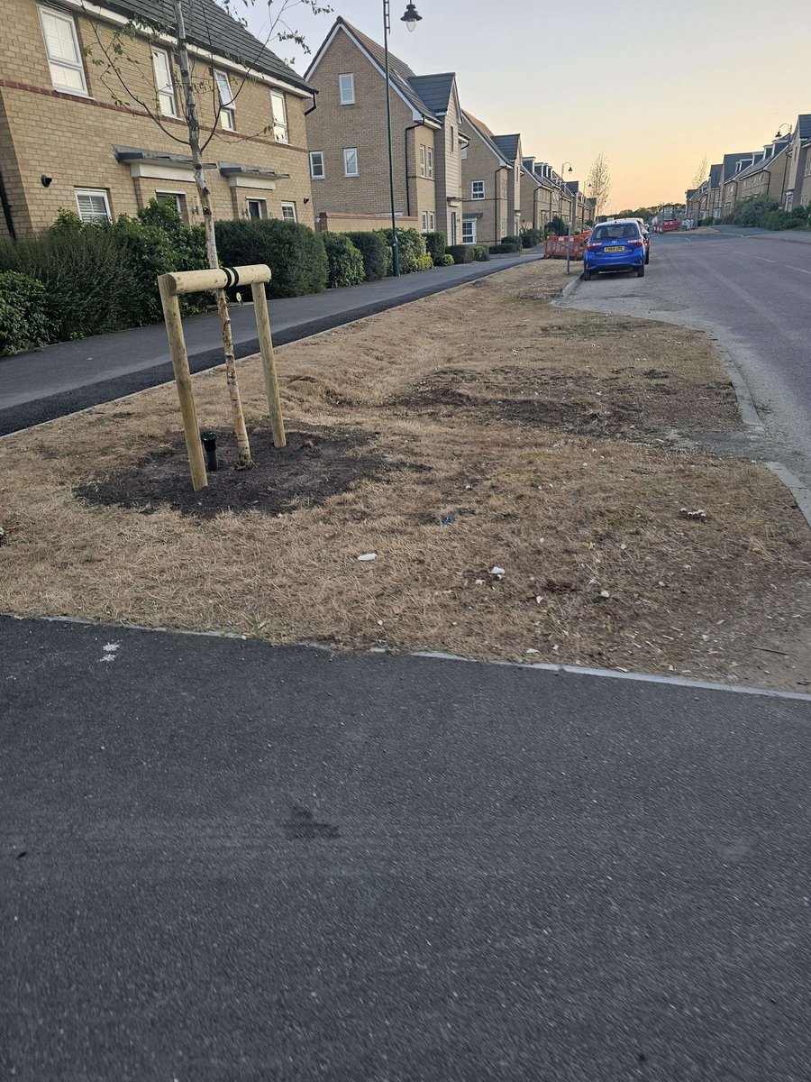 LydiGodley's tweet photo. @BarrattHomes Well I don't believe that. My estate has had dead trees for 5+ years, the grass is totally dead in most areas and the areas that have not died due to poor soil, only get cut twice a year. Don't even get me started on the roads and footpaths! https://t.co/wUJGJxMQj5