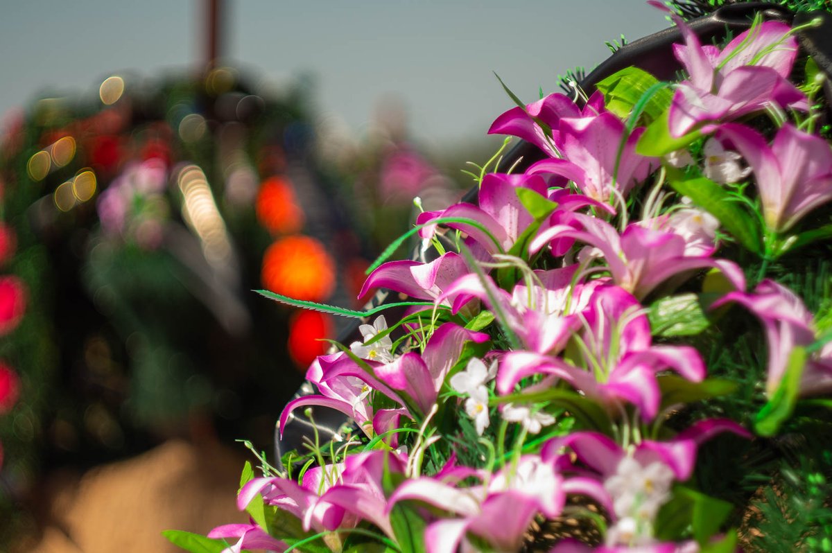 Funeral services, Pruzhany &amp; Pruzhany Region
#funeral #funeralservice #funeraldirector #funerals #funeralhome #funeralservices #funeralarrangements #funeralplanning #funeraldirectors #funeralhomes #funeralprograms #funeralindustry
funeral.by/ritualnye-uslu…