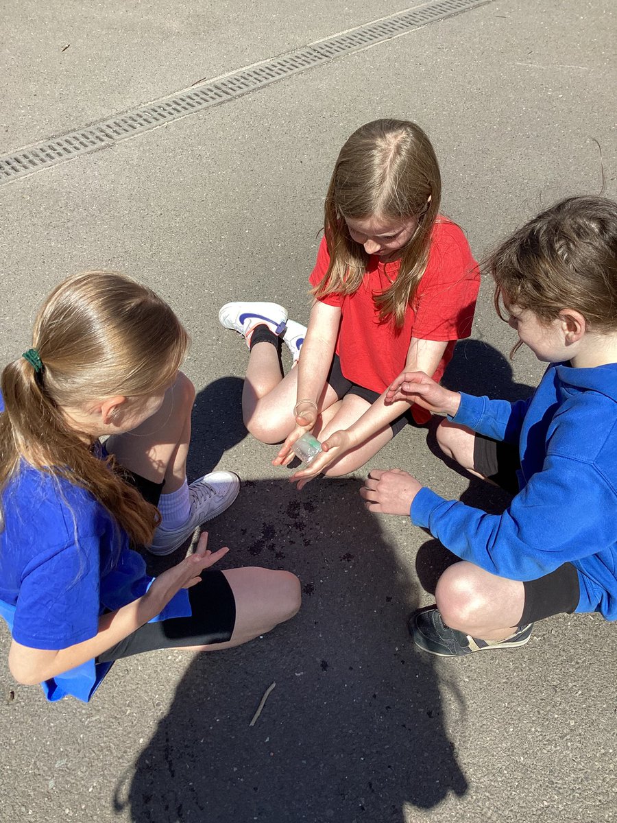 Year3Markeaton's tweet image. 🧠 STEM Week has been so much fun - look! Magnetic mazes, melting ice cubes, paper aeroplanes, manipulating media, TTRS battles… this week has been incredible. Now for a week of rest #MPSSTEM #MPSScience #MPSMaths #MPSComputing