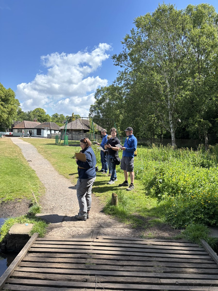 Dr Becky Kitchen tweet media