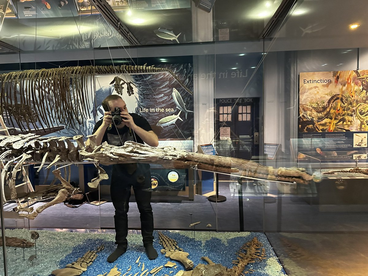 HoudzGeorge's tweet image. I’ve spent the last 2 weeks studying Neosteneosaurus, a relative of crocodilians that once lived in the seas of the Middle Jurassic, and is now on display at the Peterborough Museum & Art Gallery
#FossilFriday