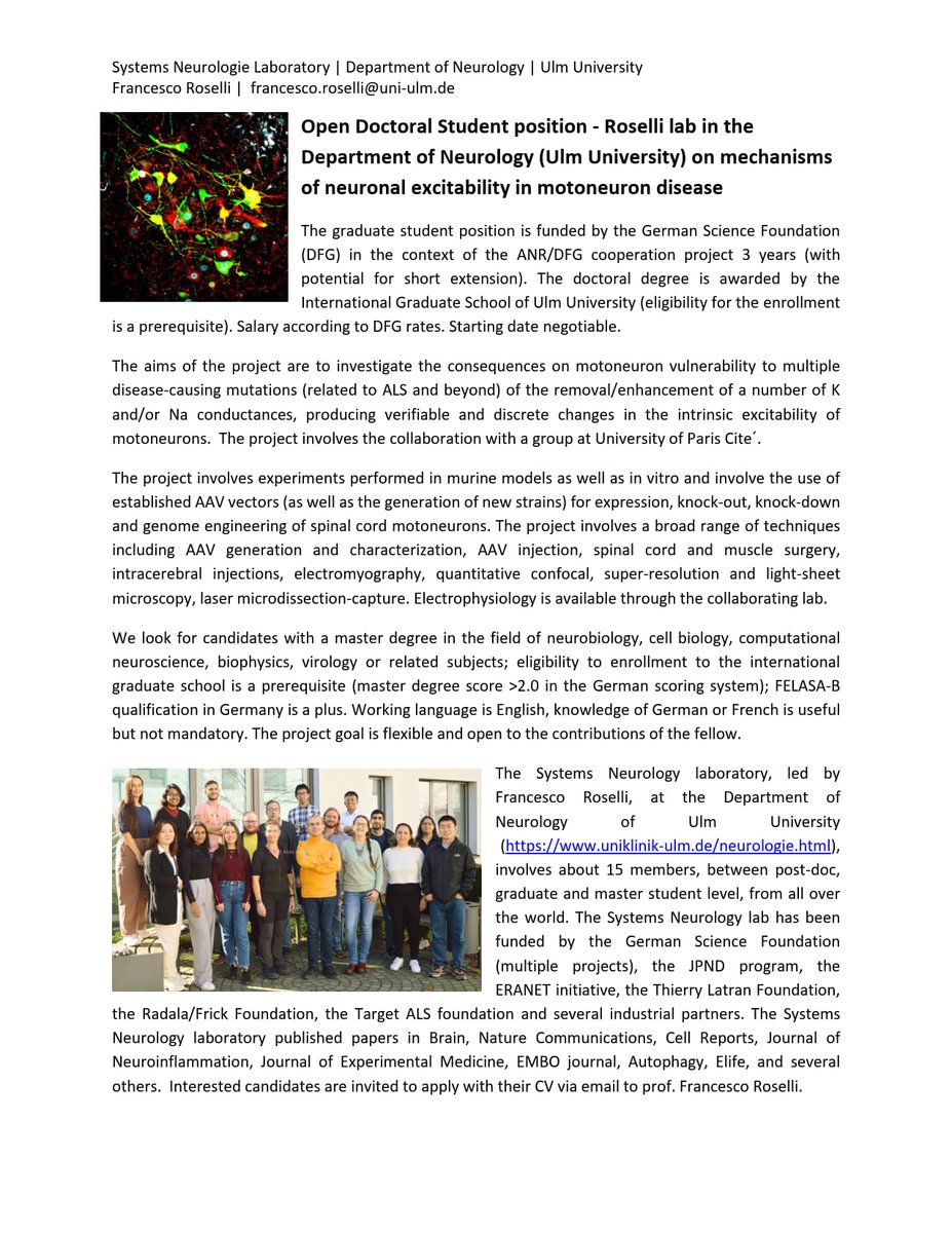 RoselliLab's tweet image. Graduate student open position at the Roselli lab!