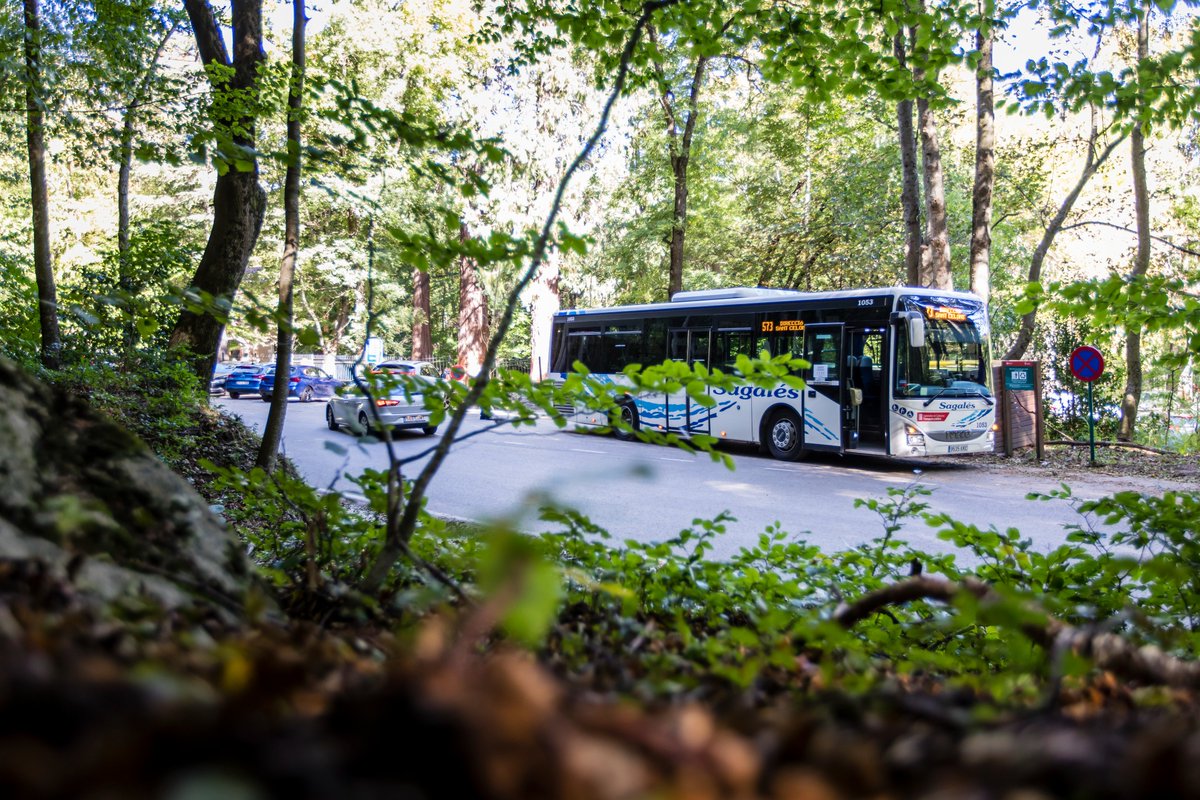 diba's tweet photo. 💚I per aquest motiu, el cap de setmana, dissabte 24 de maig i diumenge 25 de maig, el bitllet combinat de tren de @rodalies i #BusParc és gratuït
🚌🚊Tren a Sant Celoni, Balenyà-Tona-Seva o Palautordera
✅https://t.co/GMFQNYIb1J https://t.co/y1V8abZWsP