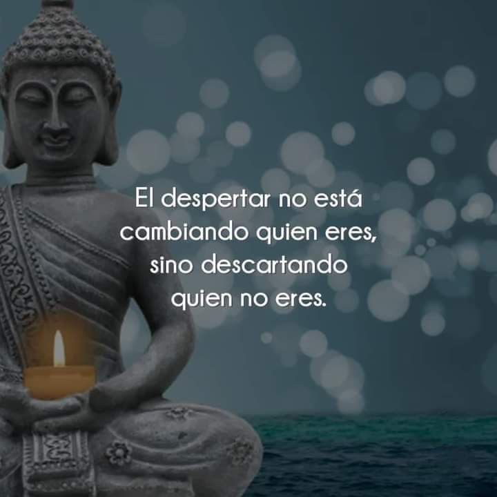 Namaste_Mandala's tweet photo. https://t.co/xC7avr8QnF