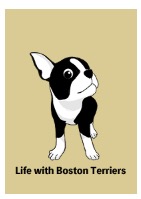 RMabo2020's tweet image. ボストンテリアベイビーの
LINE着せ替えできました～＼(^o^)／
LineTeme　『ボストンテリアのベイビー着せ替え』
line.me/S/shop/theme/d…

#ボストンテリア #LINE着せ替え #LINETheme #犬のいる暮らし #犬のいる幸せ #bostonterrier