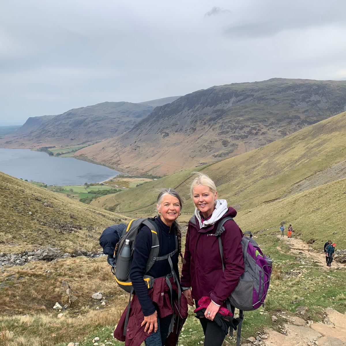 Care Network tweet media