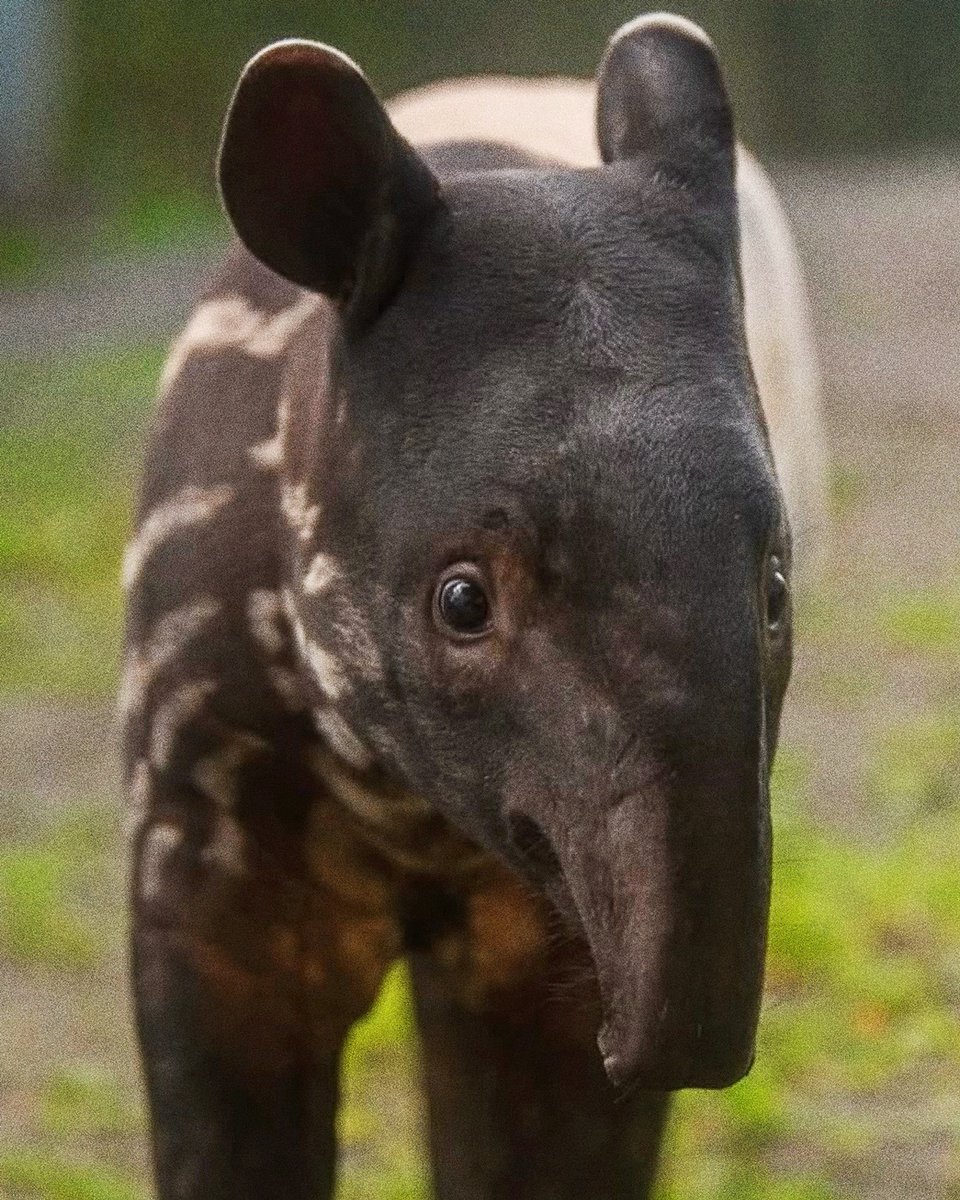 TGIF let's have a great day!