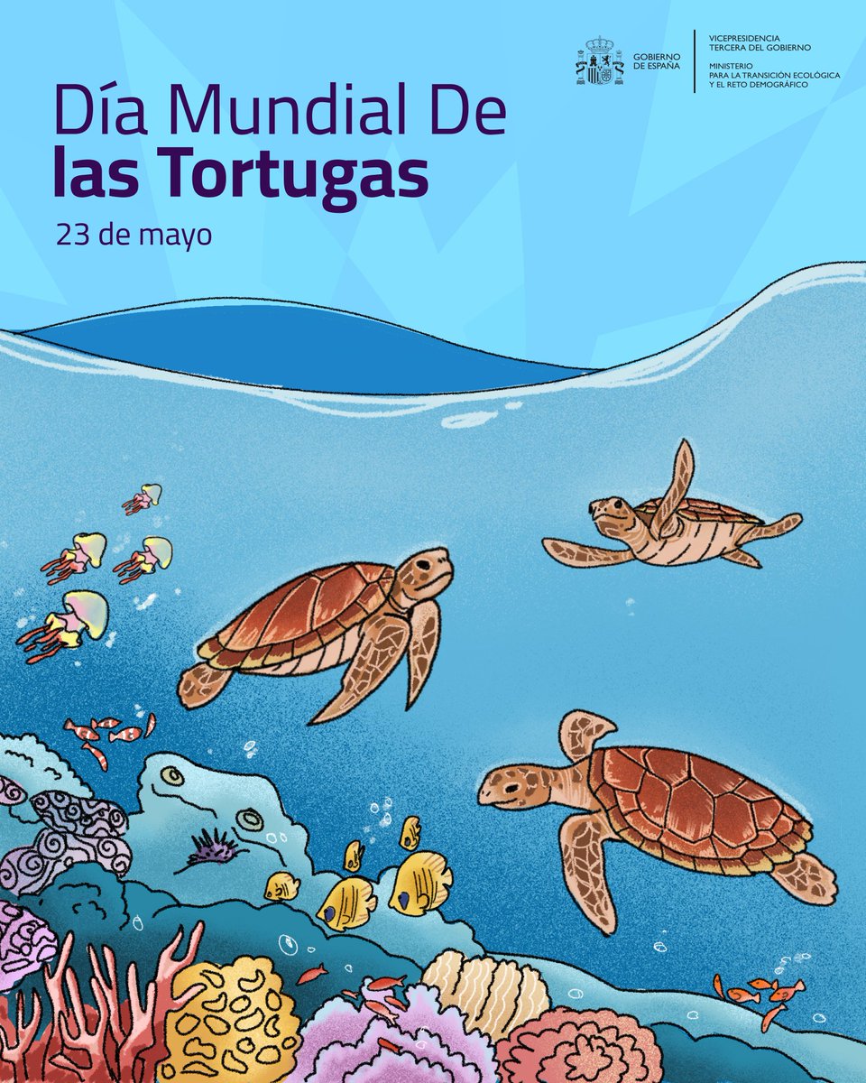 ¿Sabías que las tortugas pueden vivir más de 150 años? 🐢

Existen más de 350 especies y son fundamentales en sus hábitats
🟢 Controlan las poblaciones de insectos y plantas
🔵 Aportan equilibrio a los ecosistemas acuáticos y terrestres

Hoy celebramos el #DíaMundialDeLasTortugas