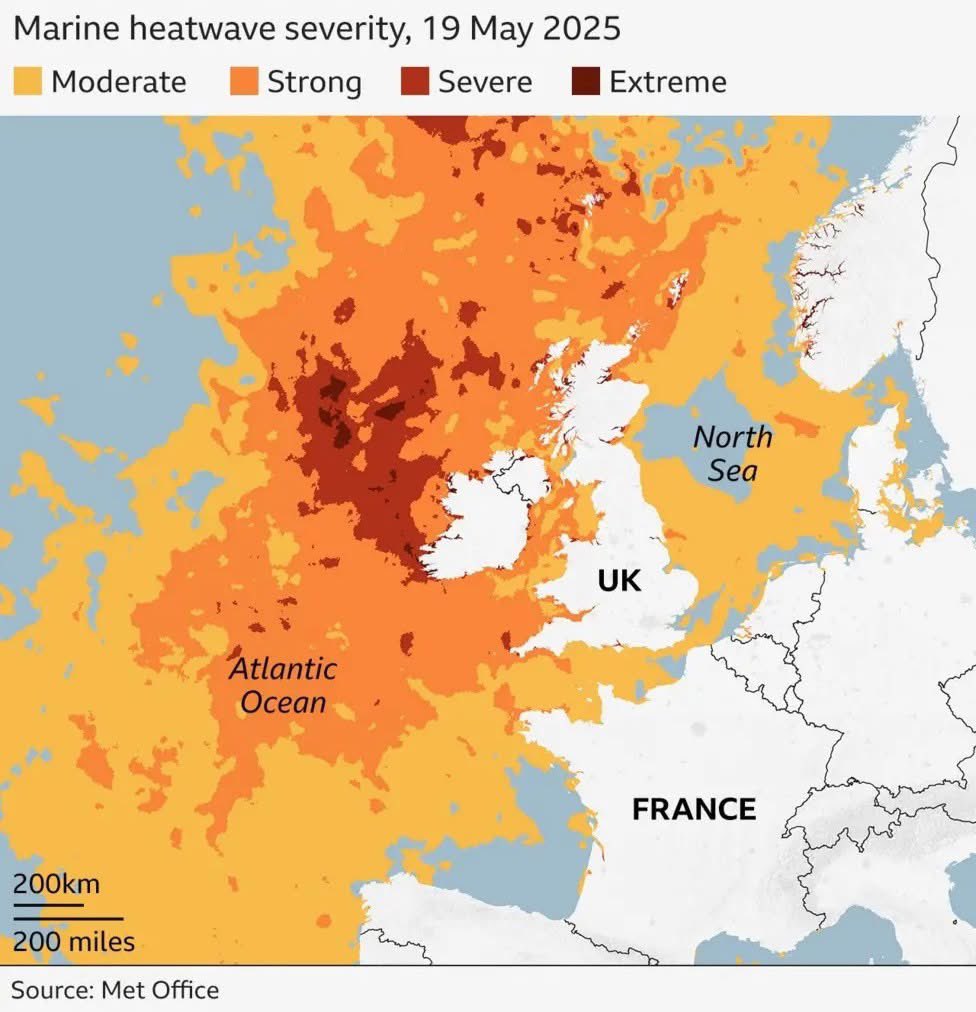 Global warming is a hoax scream the malignantly stupid Reform cultists.