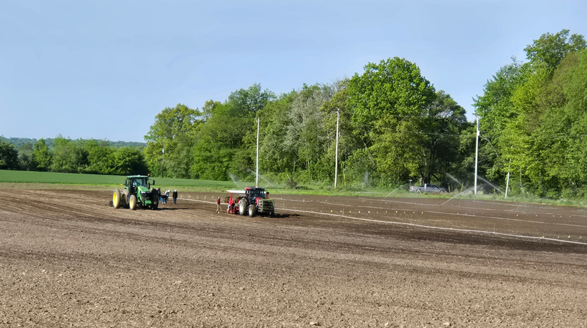 ErnstSeeds's tweet photo. We've been busy transplanting plugs from our greenhouses into the production fields. This week, Licorice Scented Goldenrod, Early Goldenrod, Hairy Beardtongue, &amp; Appalachian Beardtongue were planted. 
#ernstseeds #nativeseeds #nativeplants #planting #planttransplant #transplanter https://t.co/8RWNyo8Pvb