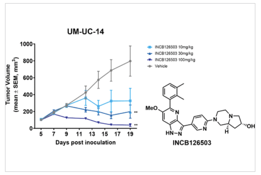 ACS Publications Bio & Med Chem Content (@acsbiomed) on Twitter photo Discovery of INCB126503, a selective FGFR2/3 inhibitor with gatekeeper mutant coverage and clean PK/safety, published in <a href="/ACSMedChemLett/">ACS Med Chem Lett</a>. #oncology #medchem #FGFR
go.acs.org/cDK Discovery of INCB126503, a selective FGFR2/3 inhibitor with gatekeeper mutant coverage and clean PK/safety, published in <a href="/ACSMedChemLett/">ACS Med Chem Lett</a>. #oncology #medchem #FGFR
go.acs.org/cDK