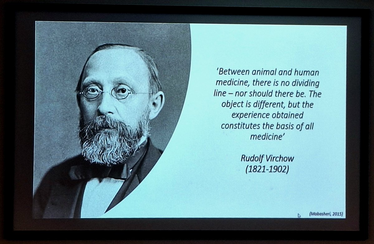 #ICATStudyDay continues with powerful insights on #OneHealth - reminding us that human, animal and environmental health are interconnected. Collaboration across disciplines isn’t optional; it’s essential for a healthier, more resilient future <a href="/ucddublin/">University College Dublin</a> <a href="/ucdvetmed/">UCD School of Veterinary Medicine</a> <a href="/ICATProgramme/">ICAT Programme</a>