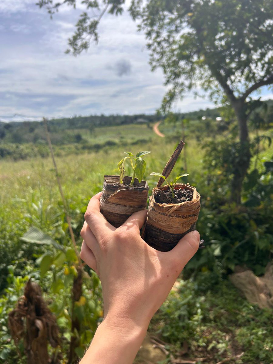 unyfa1's tweet image. Meet Daniela Scharrer, our first German volunteer in Uganda. She is currently volunteering at St Jude Family Project, Masaka District.

#Volunteer
#Volunteerprogram