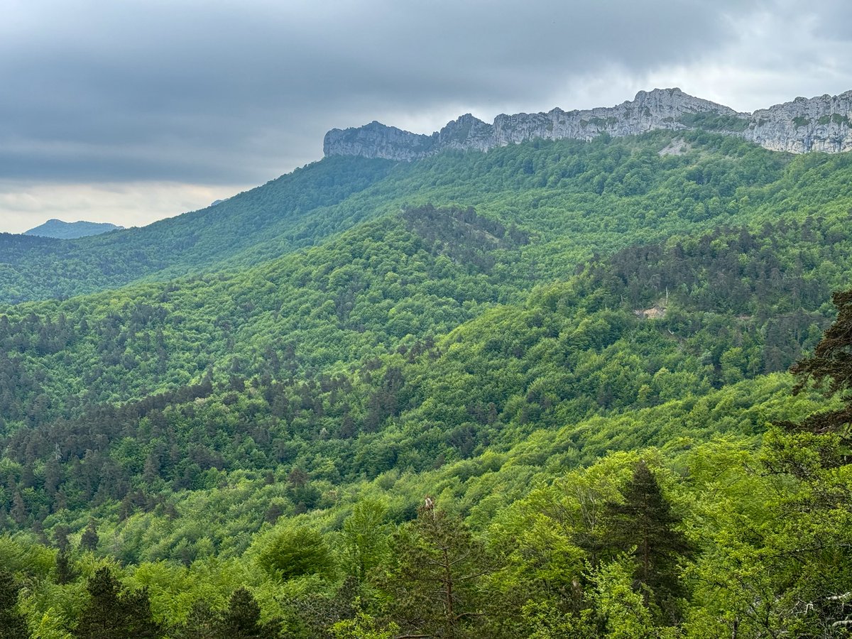 Rebeca - Viajeros 3.0 tweet media