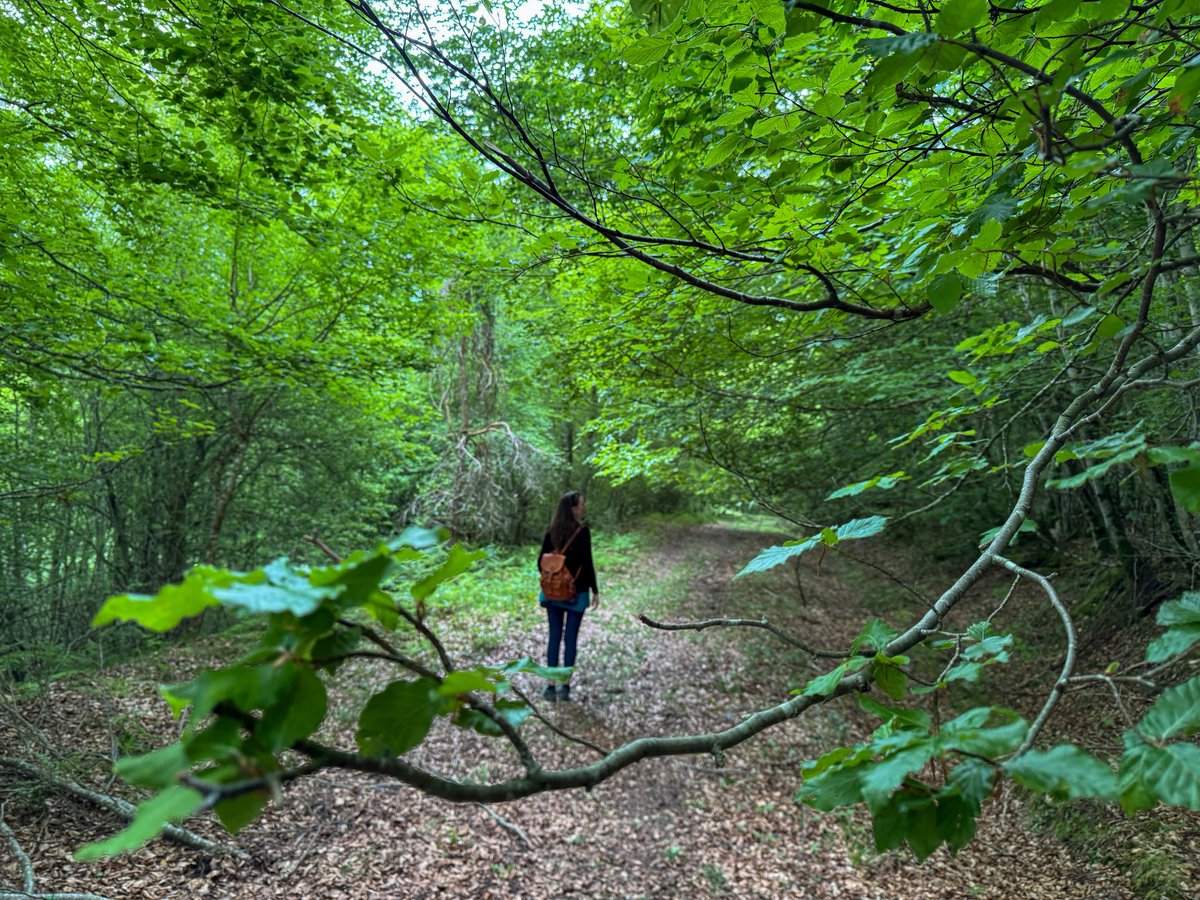 Rebeca - Viajeros 3.0 tweet media