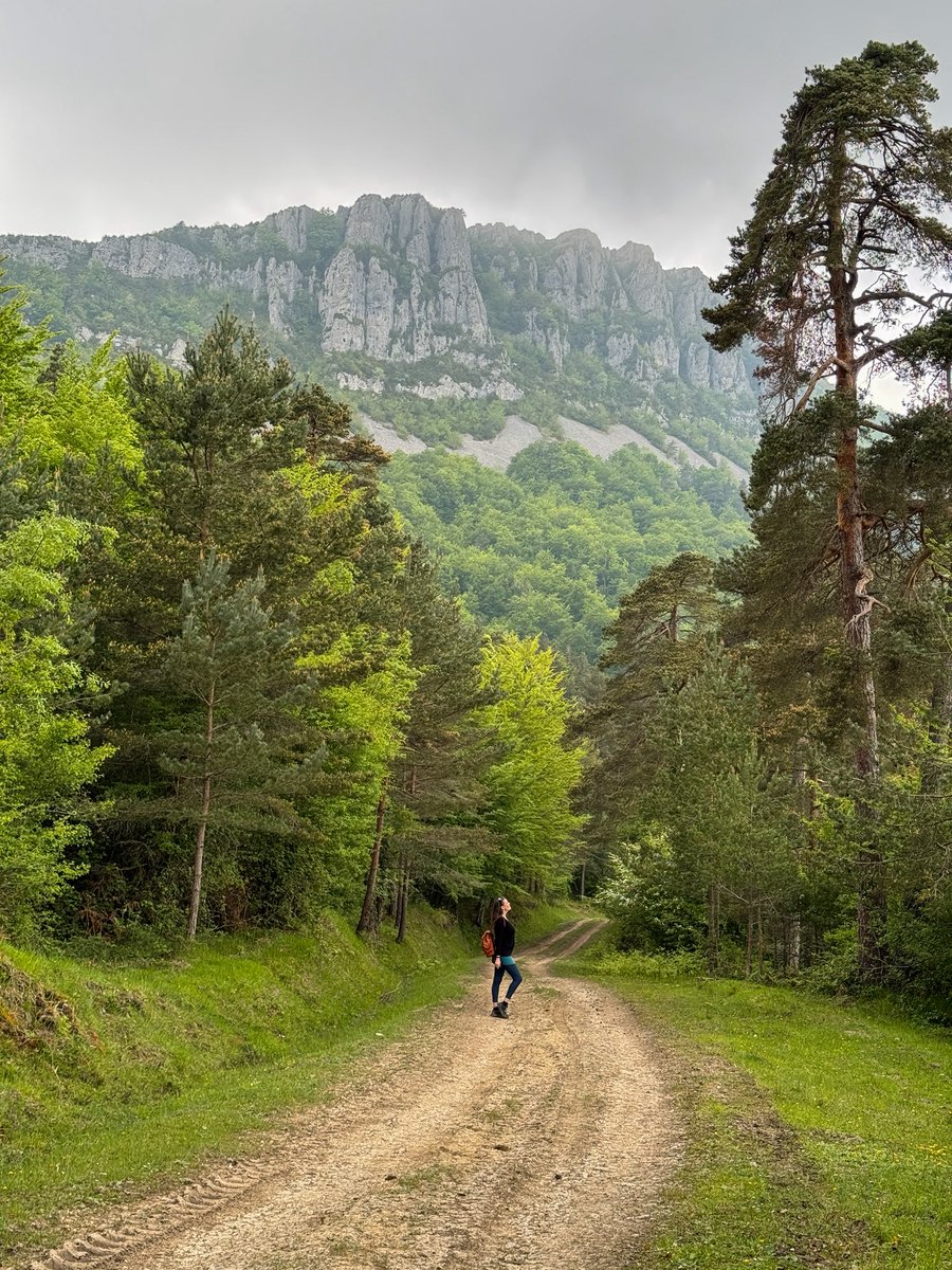 Rebeca - Viajeros 3.0 tweet media