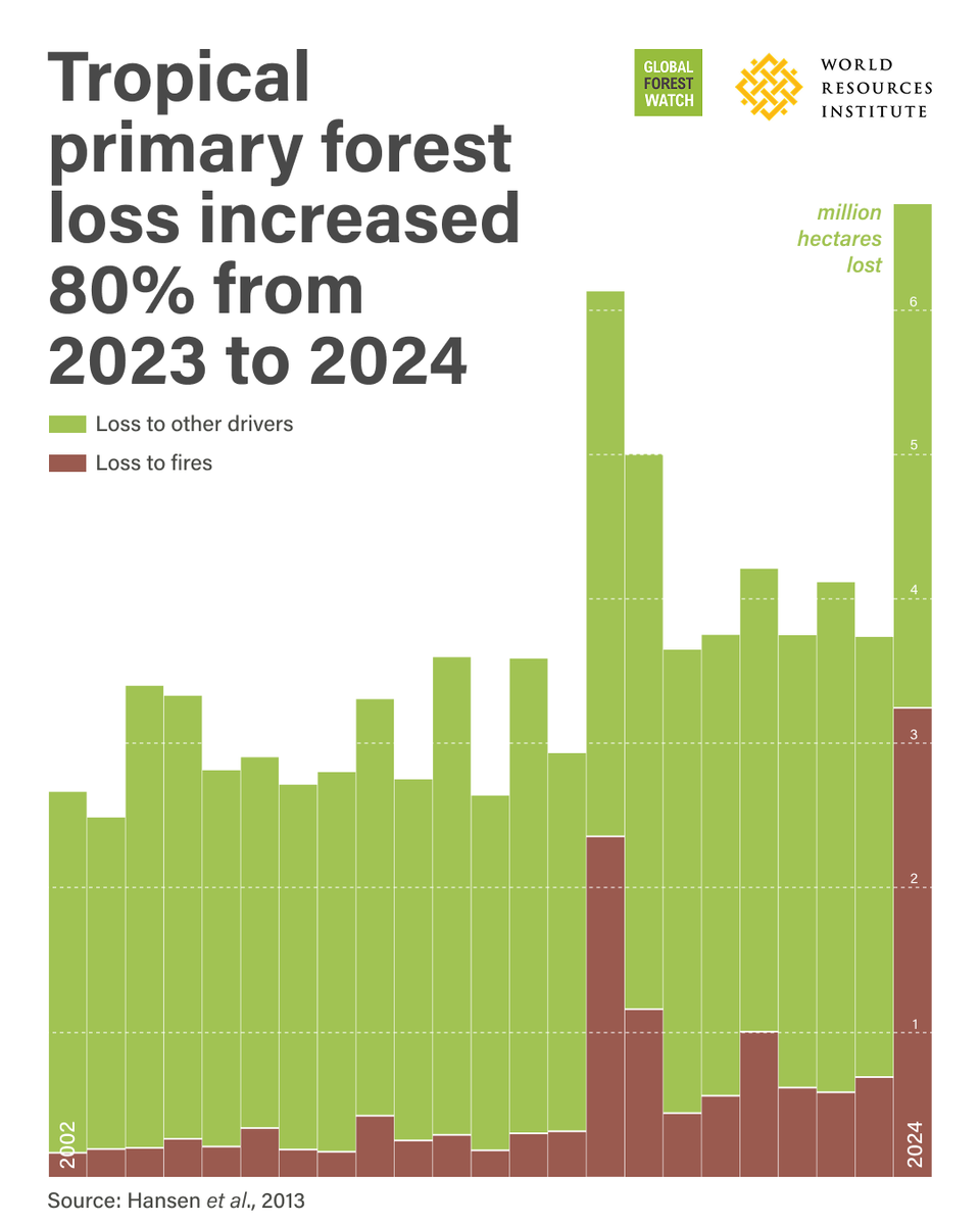 World Resources Institute (@worldresources) on Twitter photo 🌳<a href="/globalforests/">Global Forest Watch</a>’ analysis of #TreeCoverLoss data from @umd_glad reveals the tropics saw an unprecedented level of fires in 2024. We cannot afford to ignore the 2024 wake-up call 👉 go.wri.org/tree-cover-los… 🌳<a href="/globalforests/">Global Forest Watch</a>’ analysis of #TreeCoverLoss data from @umd_glad reveals the tropics saw an unprecedented level of fires in 2024. We cannot afford to ignore the 2024 wake-up call 👉 go.wri.org/tree-cover-los…