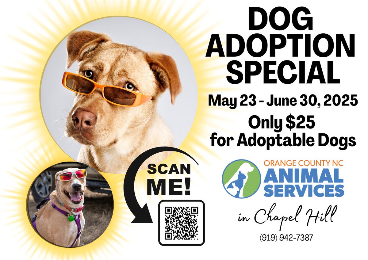 Orange County Animal Services has many wonderful dogs who need good homes! Take advantage of this Dog Adoption Special beginning Friday, May 23 through Monday, June 30. Dogs are only $25. Find your new best friend at: orangecountync.gov/287/Available-…