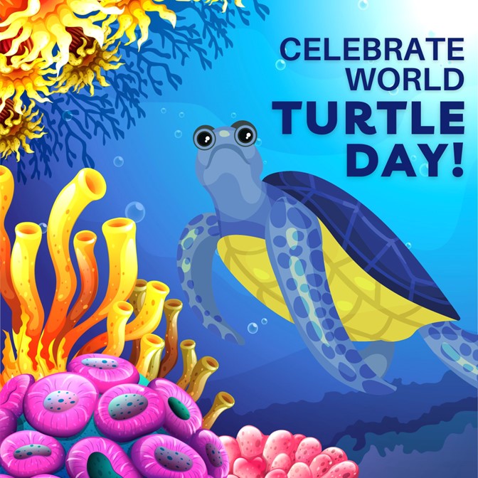 It’s #WorldTurtleDay! Let’s shell-ebrate the sea turtles &amp; keep their waters clean.

Plastic bags, straws, and other trash can look like jellyfish to a hungry turtle and that’s bad news. Let’s keep their waters clean, clear, and full of jellyfish — not garbage!