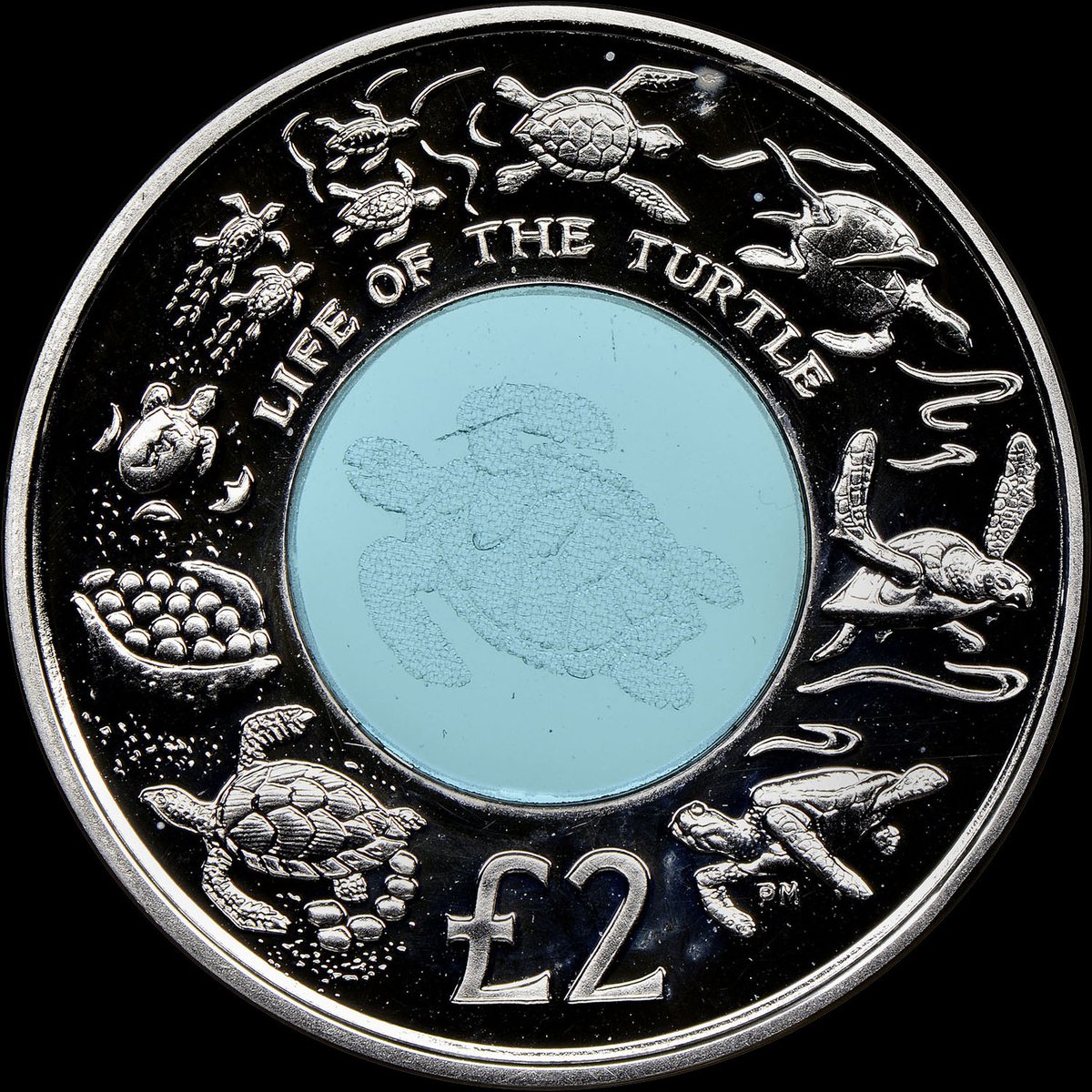 Coin of the Day: Today is World Turtle Day, so here’s a British Indian Ocean Territory Silver 2 Pounds that celebrates the life of the turtle. You can explore coins from around the world in the NGC World Coin Price Guide: NGCcoin.com/price-guide/wo… #turtle #turtles #coins #silver