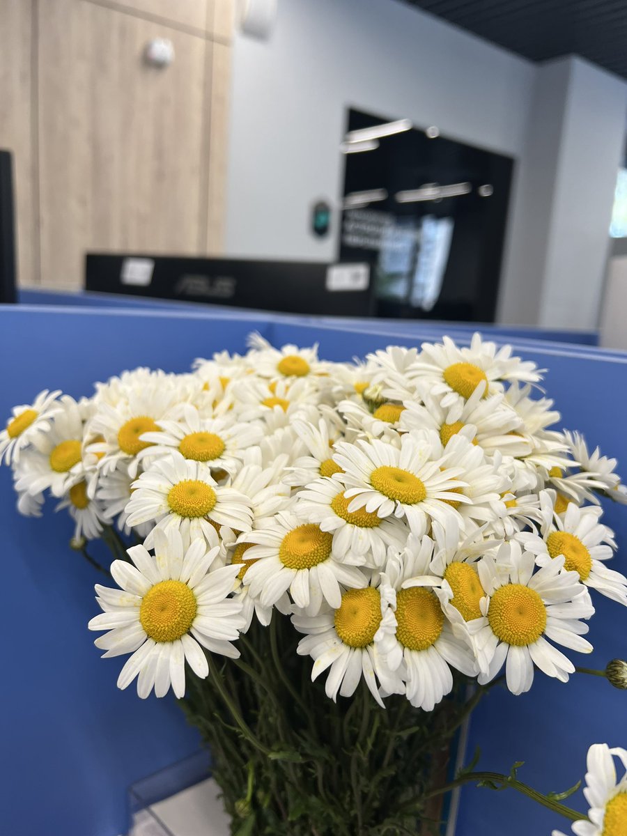 MiniLenin 🫶🏻 (@mini_lenin) on Twitter photo 