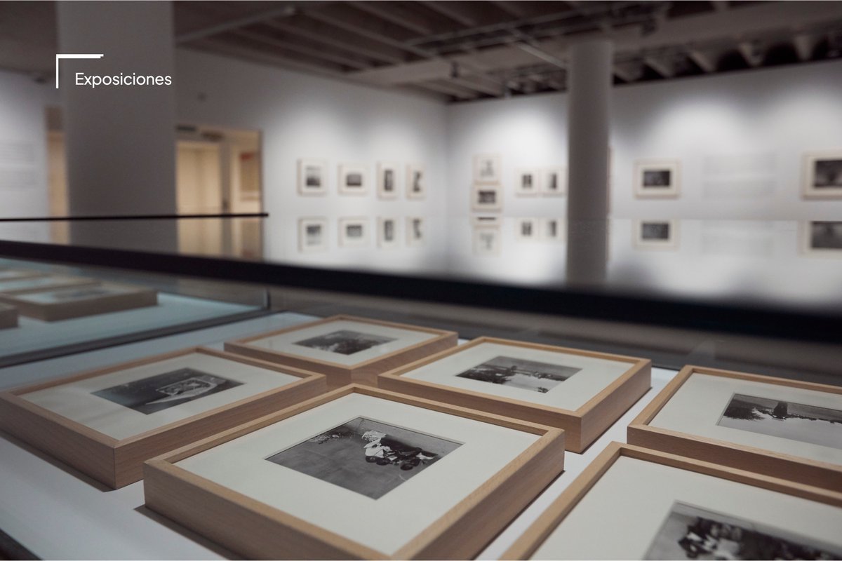 FundacionBarrie's tweet photo. Graciela Iturbide acaba de ser galardonada con el Premio Princesa de Asturias de las Artes, merecidísimo reconocimiento a una mirada que ha sabido capturar como pocas la poesía de lo cotidiano. 

En 2018, más de 150 imágenes de la fotógrafa mexicana fueron expuestas en nuestra sede con motivo de la monográfica que le dedicamos junto a @mapfreFcultura.

Hoy, este premio reconfirma lo que ya sabíamos: que su obra es imprescindible.

#ExposicionesBarrié #GracielaIturbide #PremioPrincesadeAsturias2025 #Fotografía