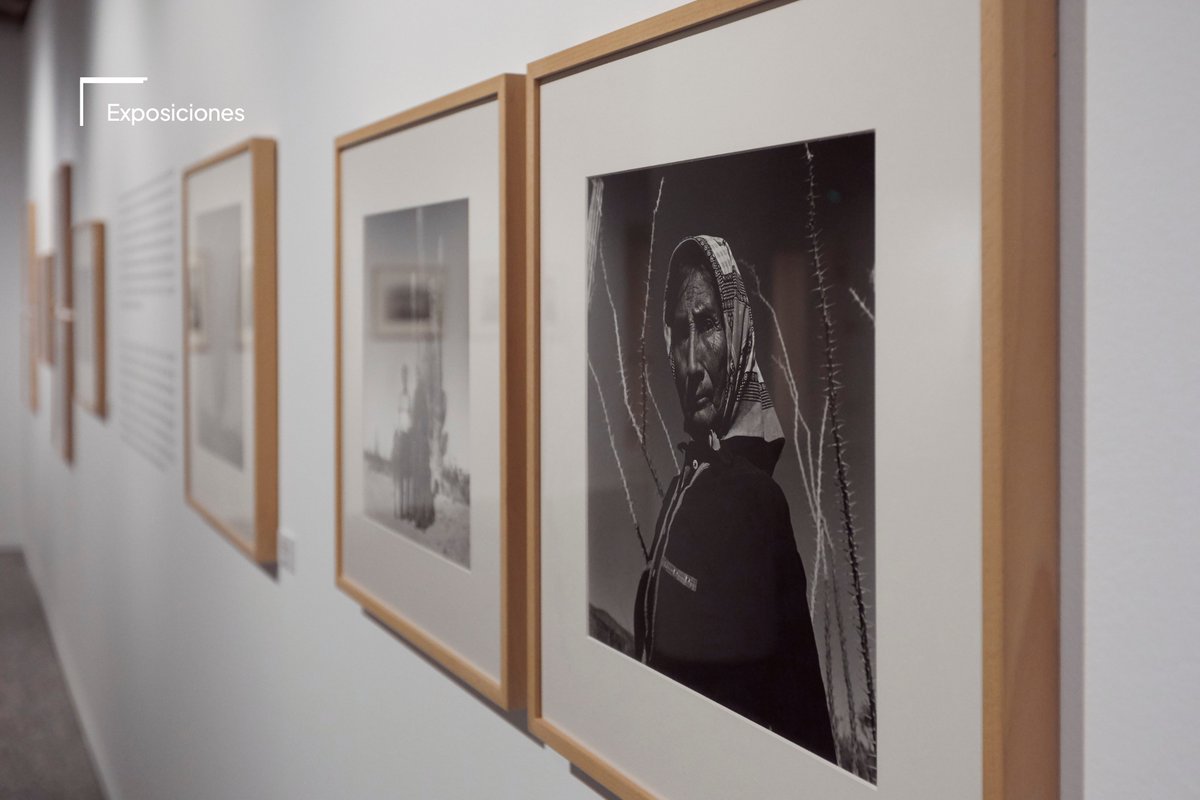 FundacionBarrie's tweet photo. Graciela Iturbide acaba de ser galardonada con el Premio Princesa de Asturias de las Artes, merecidísimo reconocimiento a una mirada que ha sabido capturar como pocas la poesía de lo cotidiano. 

En 2018, más de 150 imágenes de la fotógrafa mexicana fueron expuestas en nuestra sede con motivo de la monográfica que le dedicamos junto a @mapfreFcultura.

Hoy, este premio reconfirma lo que ya sabíamos: que su obra es imprescindible.

#ExposicionesBarrié #GracielaIturbide #PremioPrincesadeAsturias2025 #Fotografía