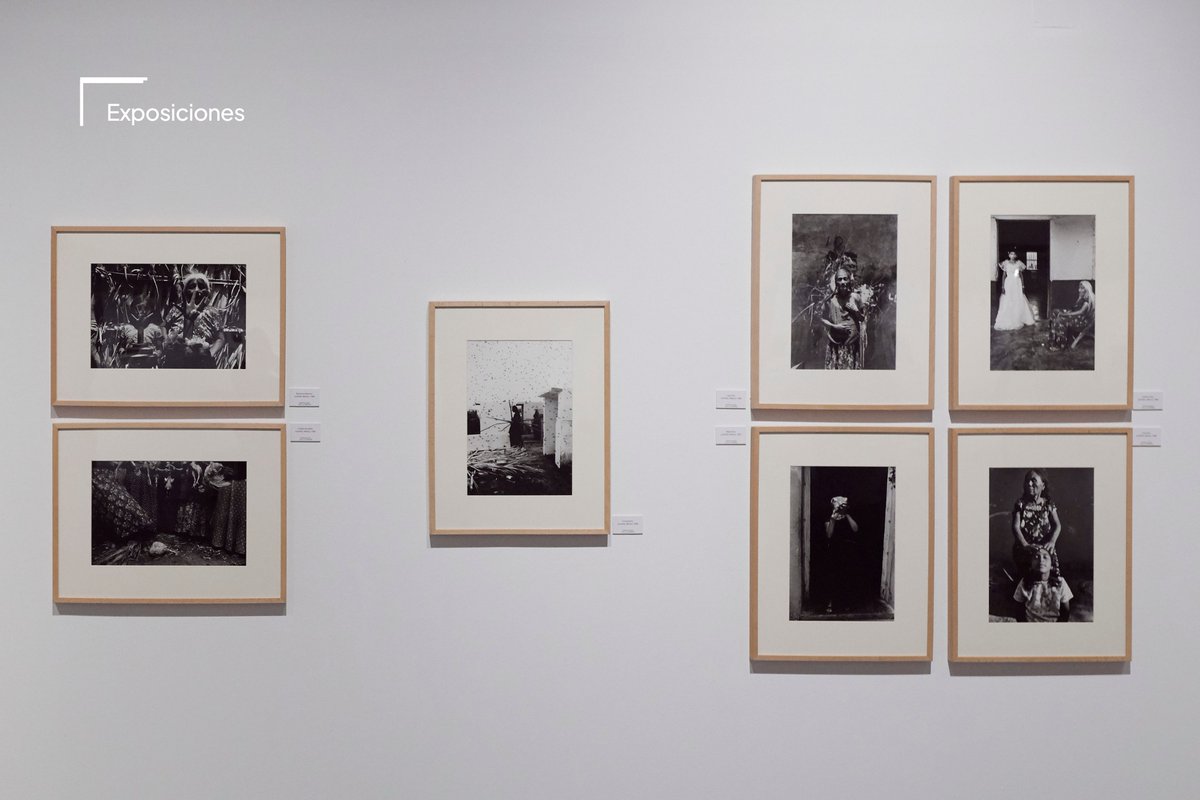 FundacionBarrie's tweet photo. Graciela Iturbide acaba de ser galardonada con el Premio Princesa de Asturias de las Artes, merecidísimo reconocimiento a una mirada que ha sabido capturar como pocas la poesía de lo cotidiano. 

En 2018, más de 150 imágenes de la fotógrafa mexicana fueron expuestas en nuestra sede con motivo de la monográfica que le dedicamos junto a @mapfreFcultura.

Hoy, este premio reconfirma lo que ya sabíamos: que su obra es imprescindible.

#ExposicionesBarrié #GracielaIturbide #PremioPrincesadeAsturias2025 #Fotografía