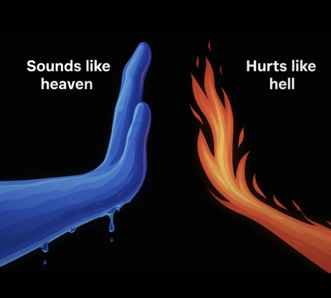 Stephan 𝕏 tweet media