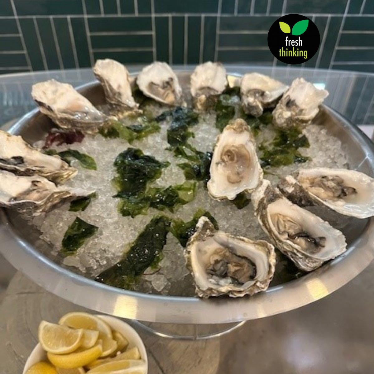✨ What a night at The Nici Bournemouth! ✨

We had an incredible evening filled with great company, gorgeous views, and oysters. 🦪💫

Big thanks to the Nici team for hosting such a stunning event! #TheNiciBournemouth #OysterLovers #CoastalLuxury #EveningWellSpent