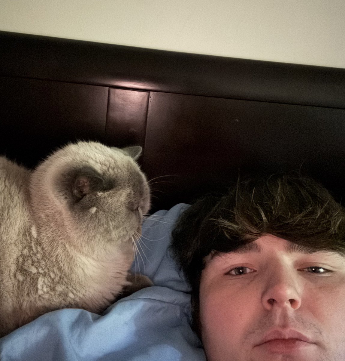 gm gay guy