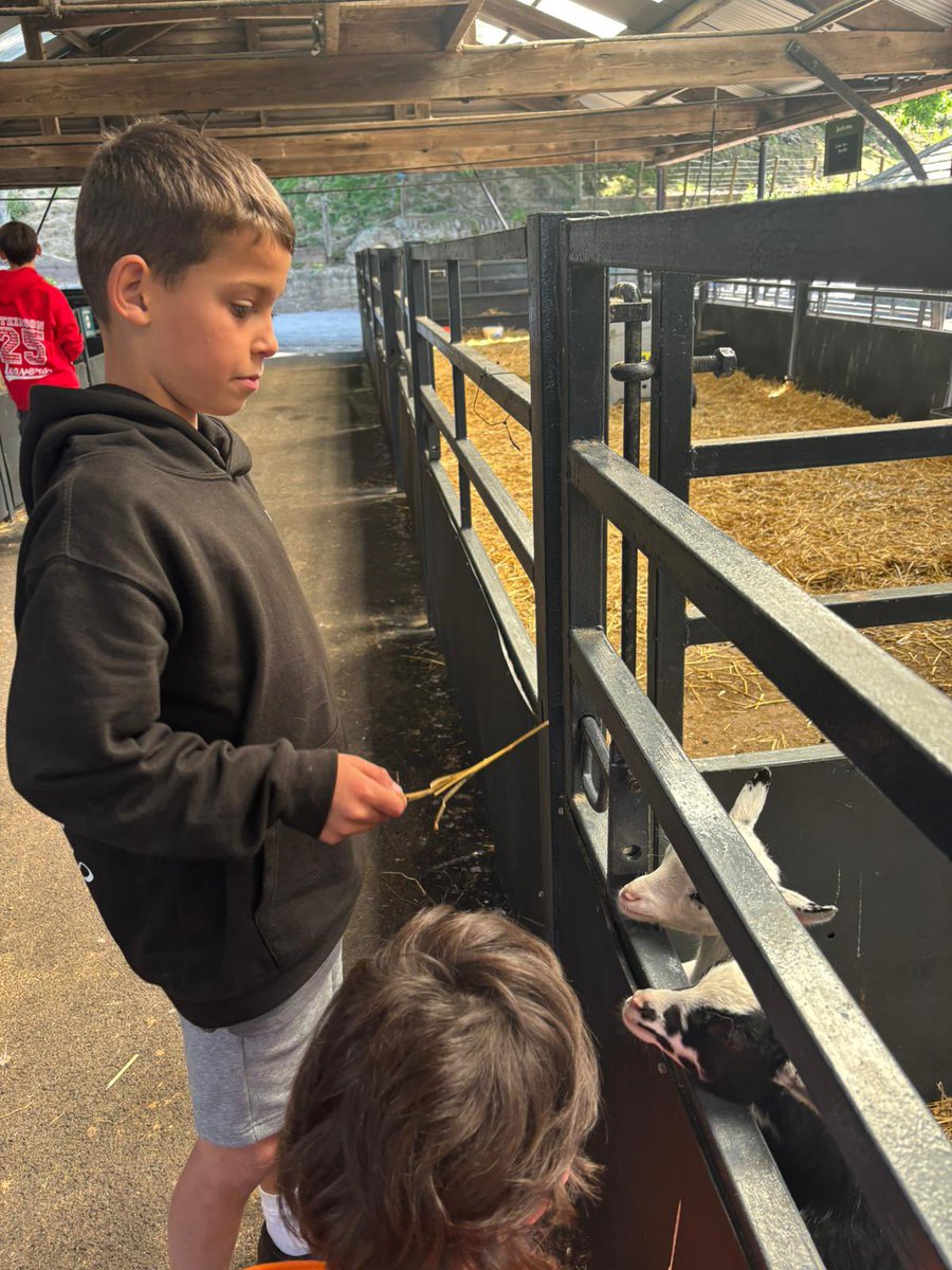 Long Benn Academy tweet media