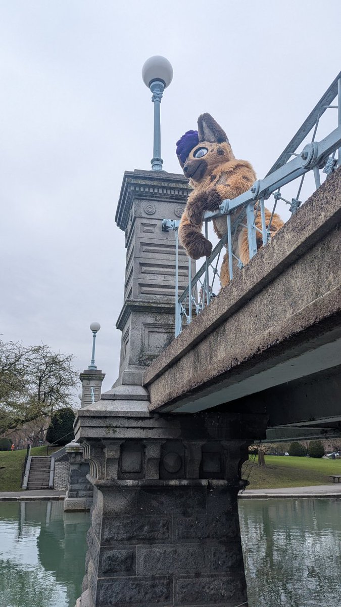 lobstar85's tweet photo. I think I lost this round...
#FursuitFriday #yeen #hyena #furryfriday #furryfandom #boston #poohsticks
✂️@RSKemono
📸 @Ariadear https://t.co/vDcQXxWv7j