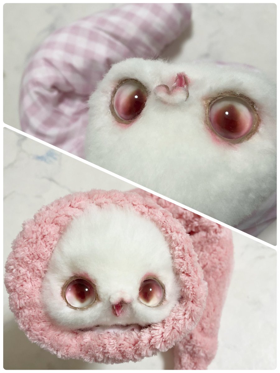 白蛇の脱け殻❤干支❤巳年❤超美品❣️しかも‼️妊婦さん❣️ 白蛇 - Search / X