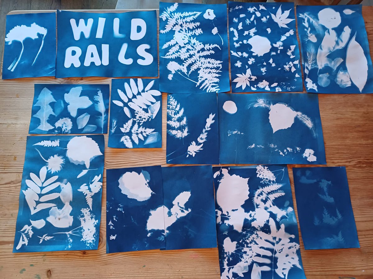 HeartCRP's tweet image. To round-up #CommunityRailWeek Heart CRP were with Lapworth Primary running Cyanotype nature-inspired art workshops, as part of our Wild Rails Biodiversity project. We love the creativity shining through that will be edited into a collage for their local station🌺 #art