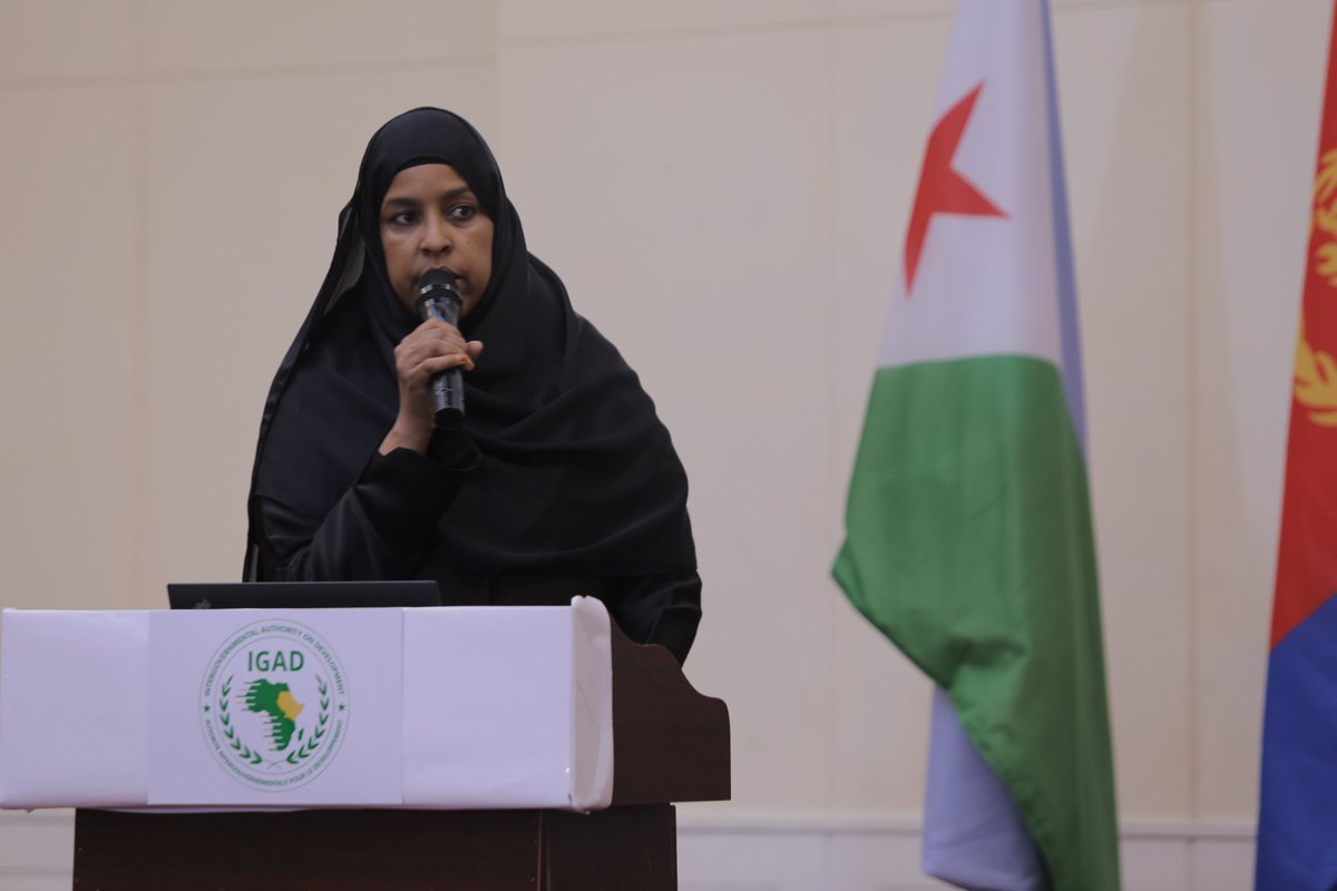 iom_somalia's tweet photo. 1⃣Migration and displacement in East &amp; Horn of Africa are increasingly urban. @IGADsecretariat's 4th Scientific Conference on Migration and Displacement focused on evidence and recommendations to help cities respond more effectively.

📖 more: https://t.co/kAVhz5eKUm https://t.co/THtLf68fYQ