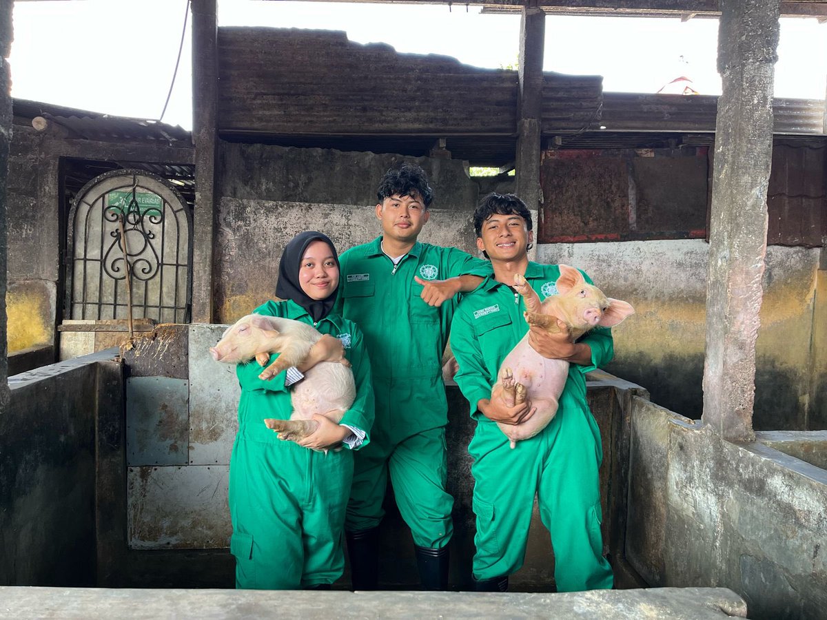 A. Nugraha tweet media