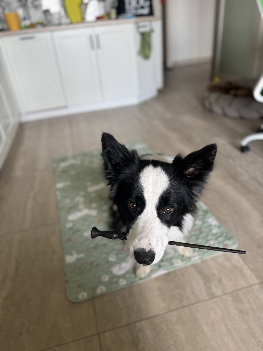 Polina Kananykina tweet media